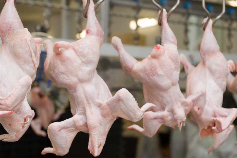Канада проверит Украинскую систему госконтроля за производством мяса птицы